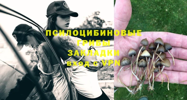apvp Волоколамск