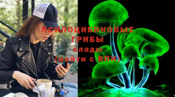 apvp Волоколамск
