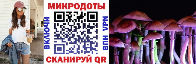 Псилоцибиновые грибы Cubensis  Купить закладки  Междуреченск 
