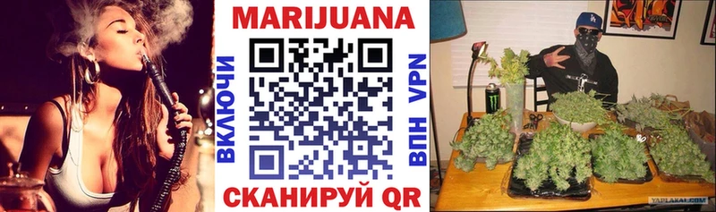 Бошки марихуана OG Kush  Купить где  Междуреченск 
